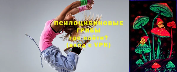 синтетический гашиш Каменск-Шахтинский