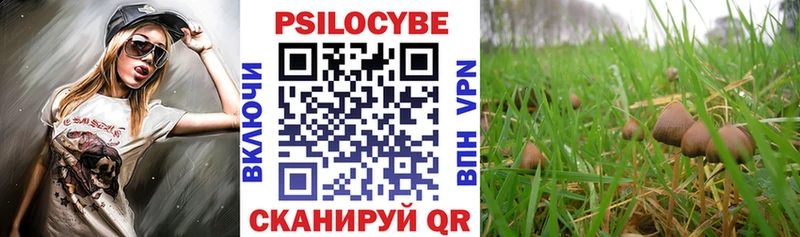 Псилоцибиновые грибы прущие грибы  Купить где  Дмитров 
